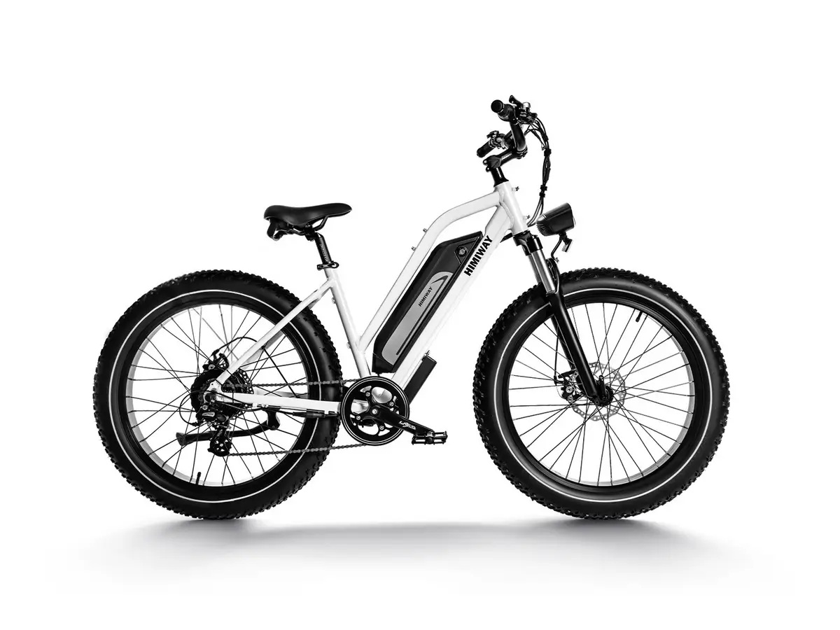 Himiway D3 Cruiser